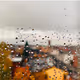Autumn vibes