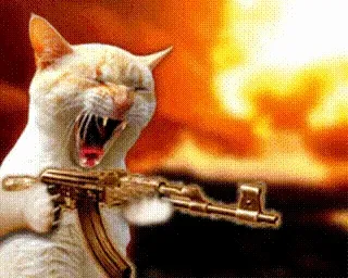 Gangster cat