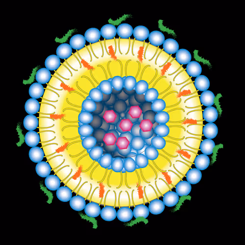 Liposome1