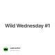 Wild Wednesday #1