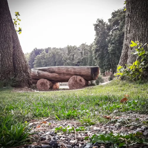 Bench of Peace
