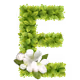 frhbfrdhtrftbv