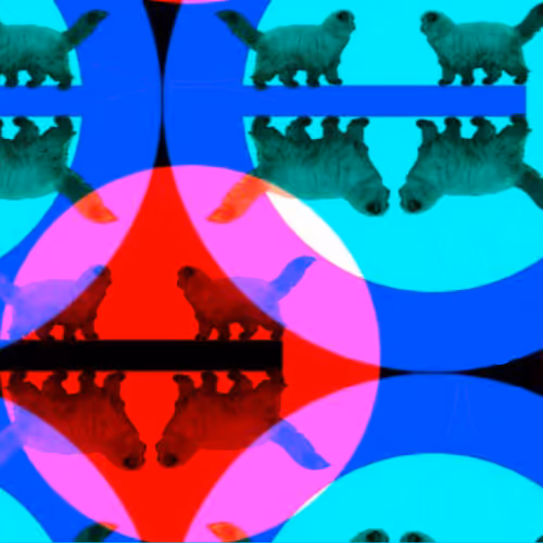 Mister Miggles bubbles