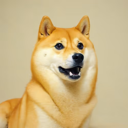 doge