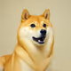 doge