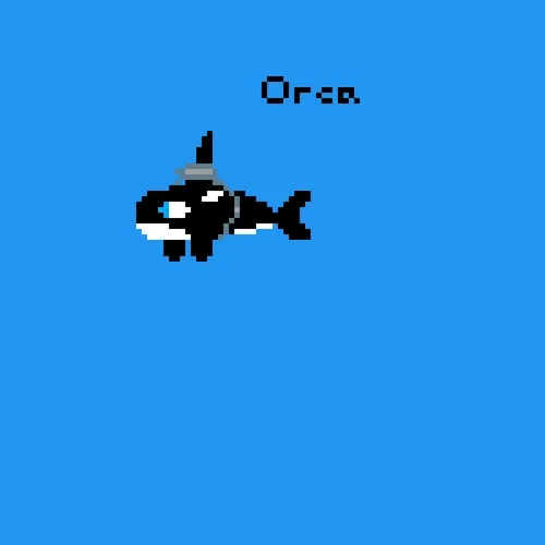 Orca on Base