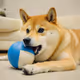 Doge <3 Base
