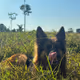 Zora Posts