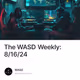 The WASD Weekly: 8/16/24