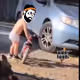Dude