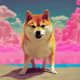 Shiba Dream