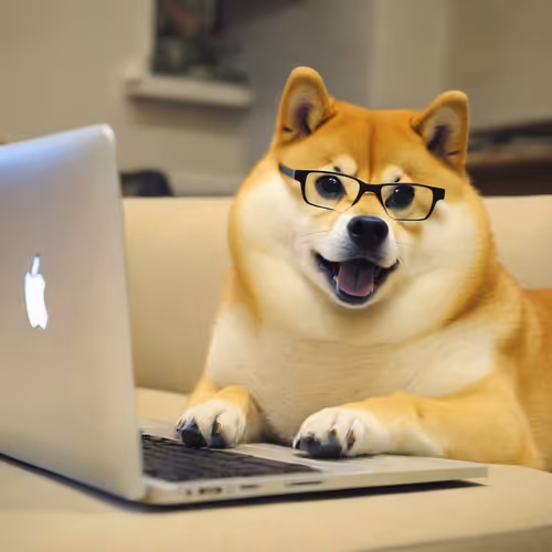smart dogo