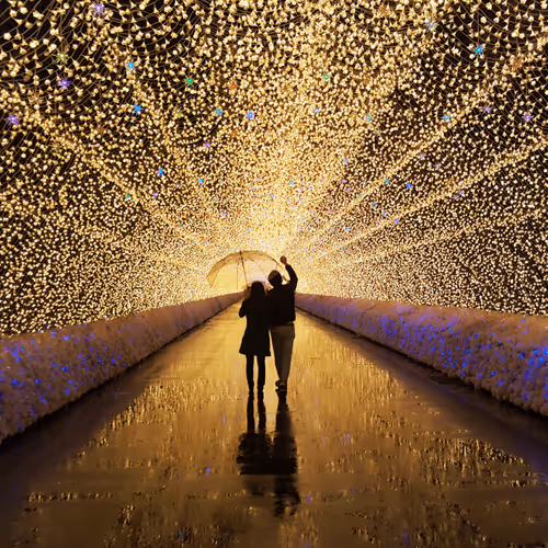 Songs of a hidden light