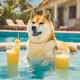 Summer of Doge