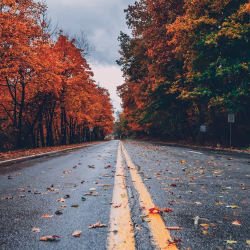 road