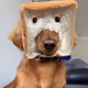 wiffbread