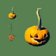 PUMPKIN CTO