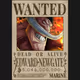 One Piece Wanted Card - 1700 card
