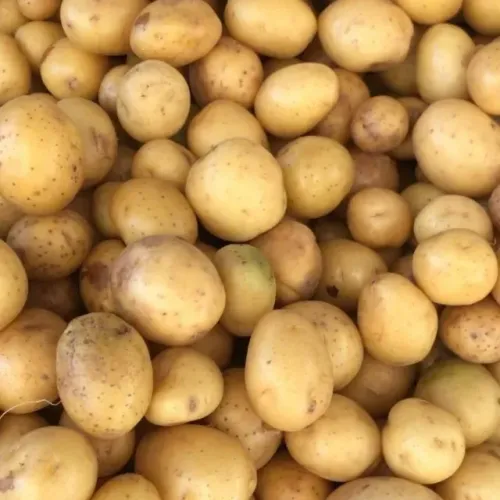 POTATO coin