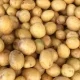 POTATO coin