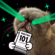 purr purr gimme $COOKIE