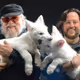 Dire Wolves
