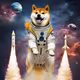 Doge of the Universe