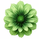 Green Pulse