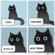 Mister Miggles wishes