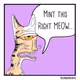 Right MEOW - BizarreBeasts