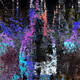 KinWiz Paintings