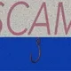 scam