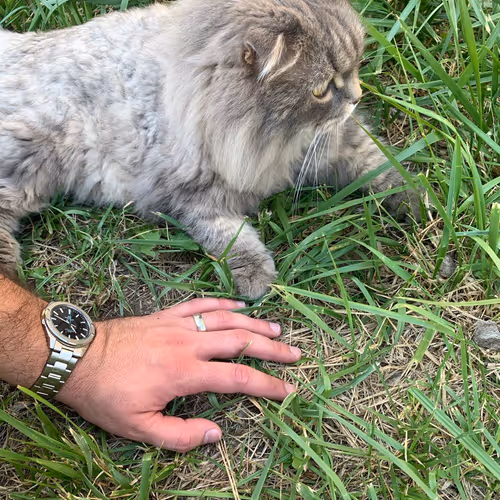 Touching the grass July /onchain