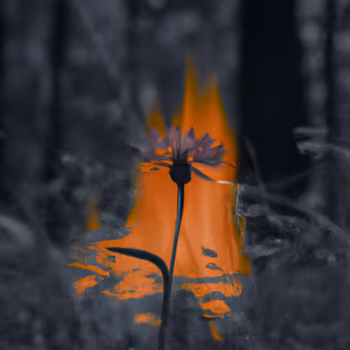 Is this what you want?