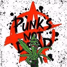 Lost in the Haze - Mari Juana Band