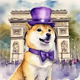 Dapper Doge & Arc