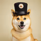 Degen Dog