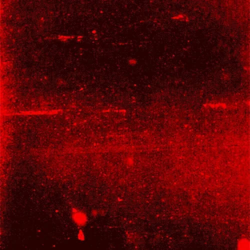 Red Rorschach