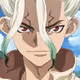Dr Stone