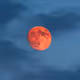 Red Moon