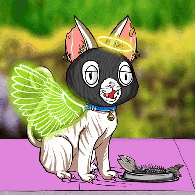 Paradise Kitten