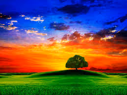 Sunrise