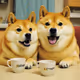 Two Doges, Two Cups