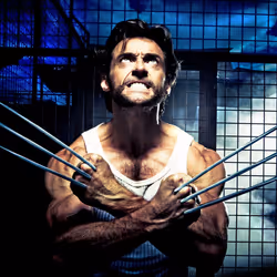 项目媒体占位符