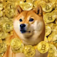 Doge Bitcoin