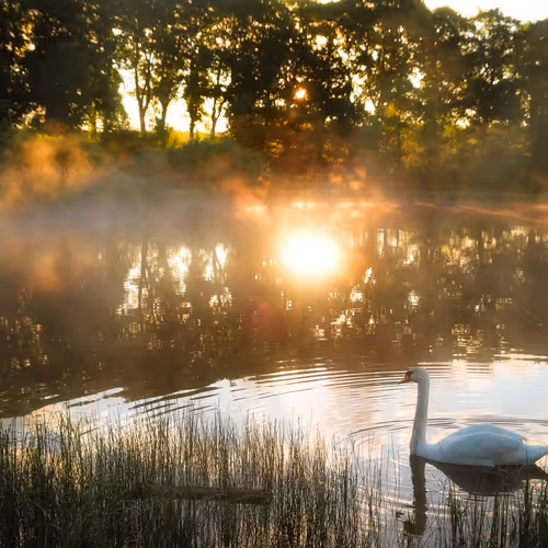 early morning