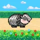 Moo Deng Go