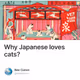 Why Japanese loves cats?