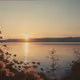 Lake's last light