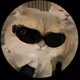 Zora Posts